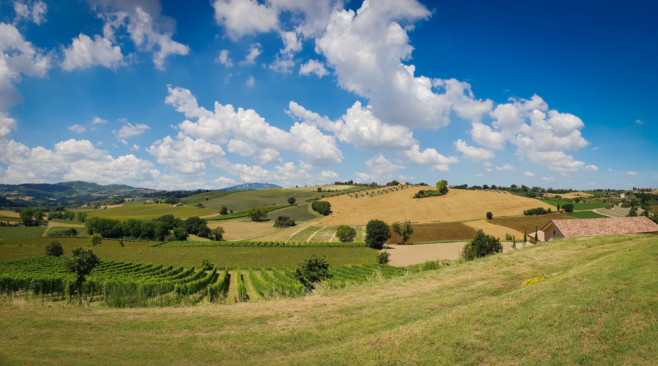 coriano-shutterstock_1167260326 (1)